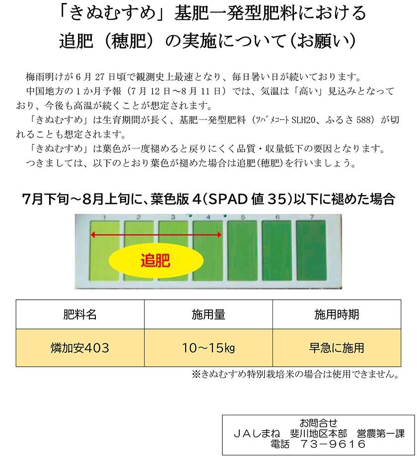 「きぬむすめ」基肥一発型肥料における追肥（穂肥）の実施について