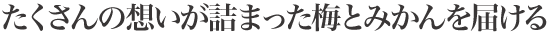たくさんの想いが詰まった梅とみかんを届ける