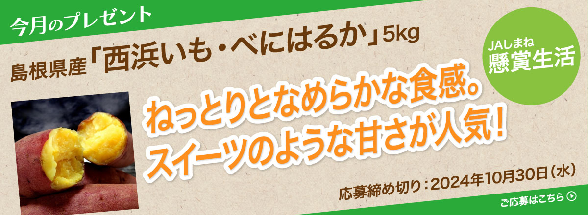 【懸賞生活】今月のプレゼント