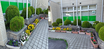 雲南　雲南吉田②.png