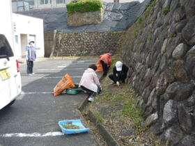 250531_kumogi1.png