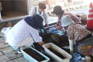 250722_hikawa1.png