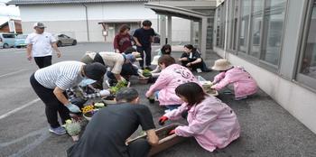 伊波野①
