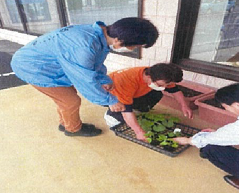 湖陵①