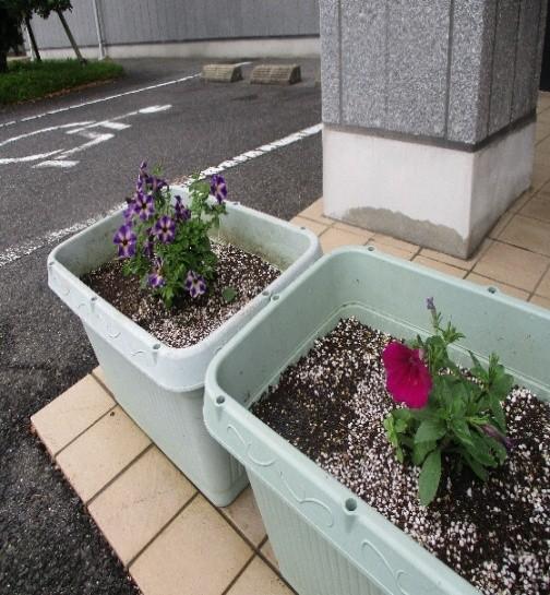 画像2.jpg