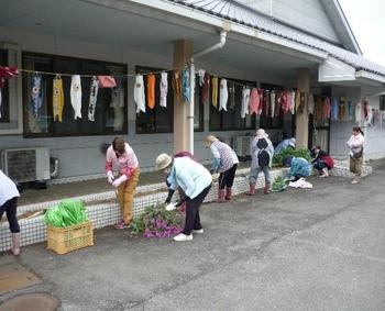 波佐①