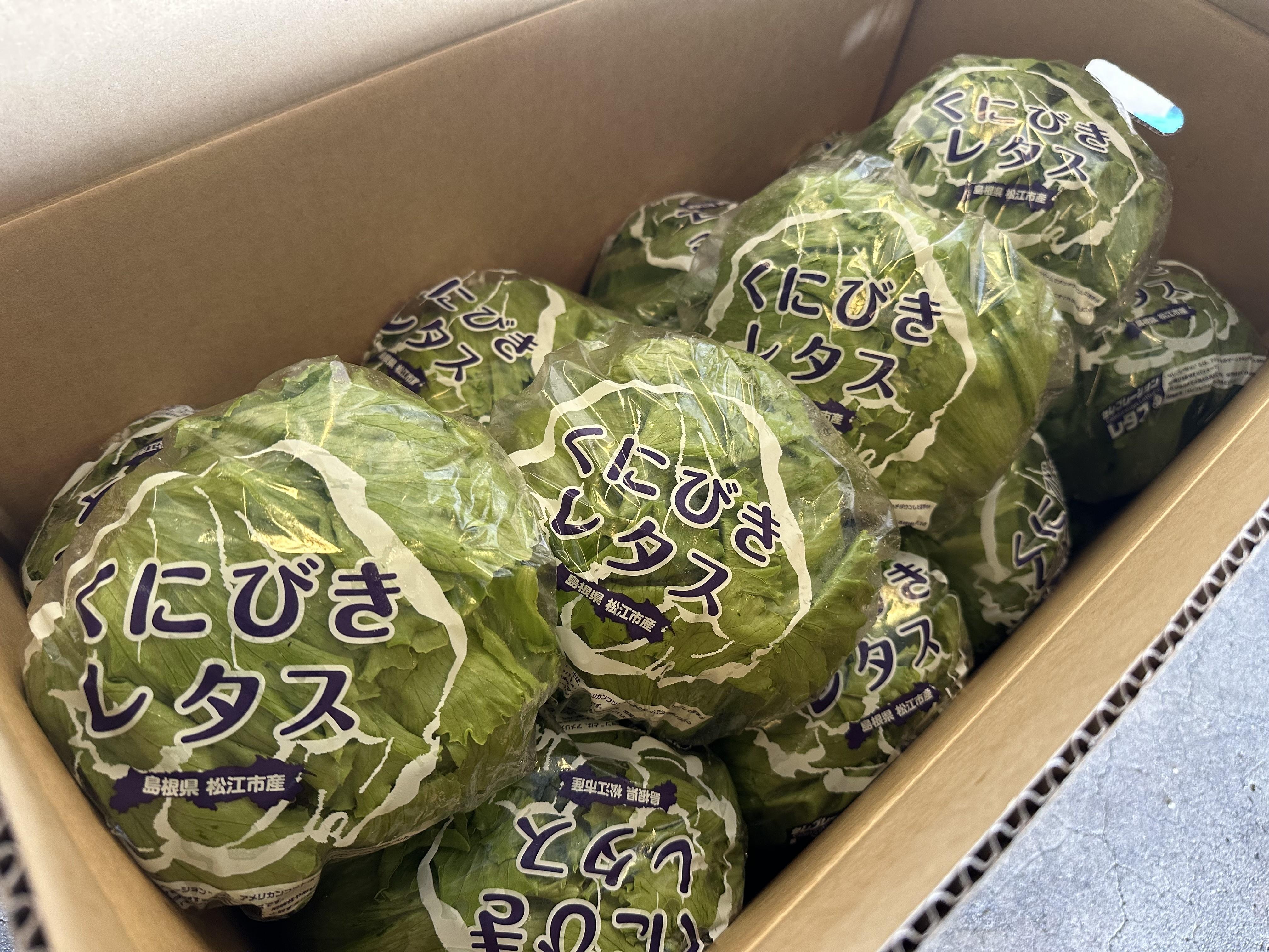 くにびきレタス.jpeg