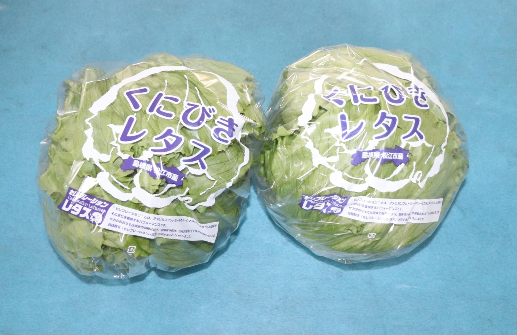 くにびきレタス.JPG