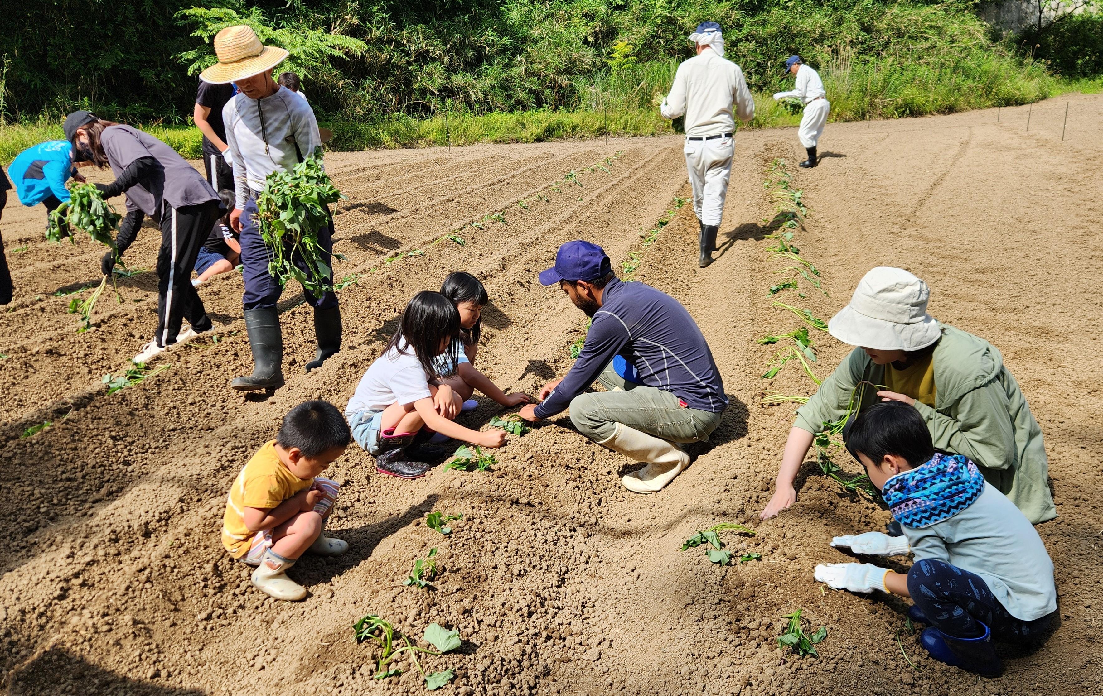 苗を植える参加者.jpg