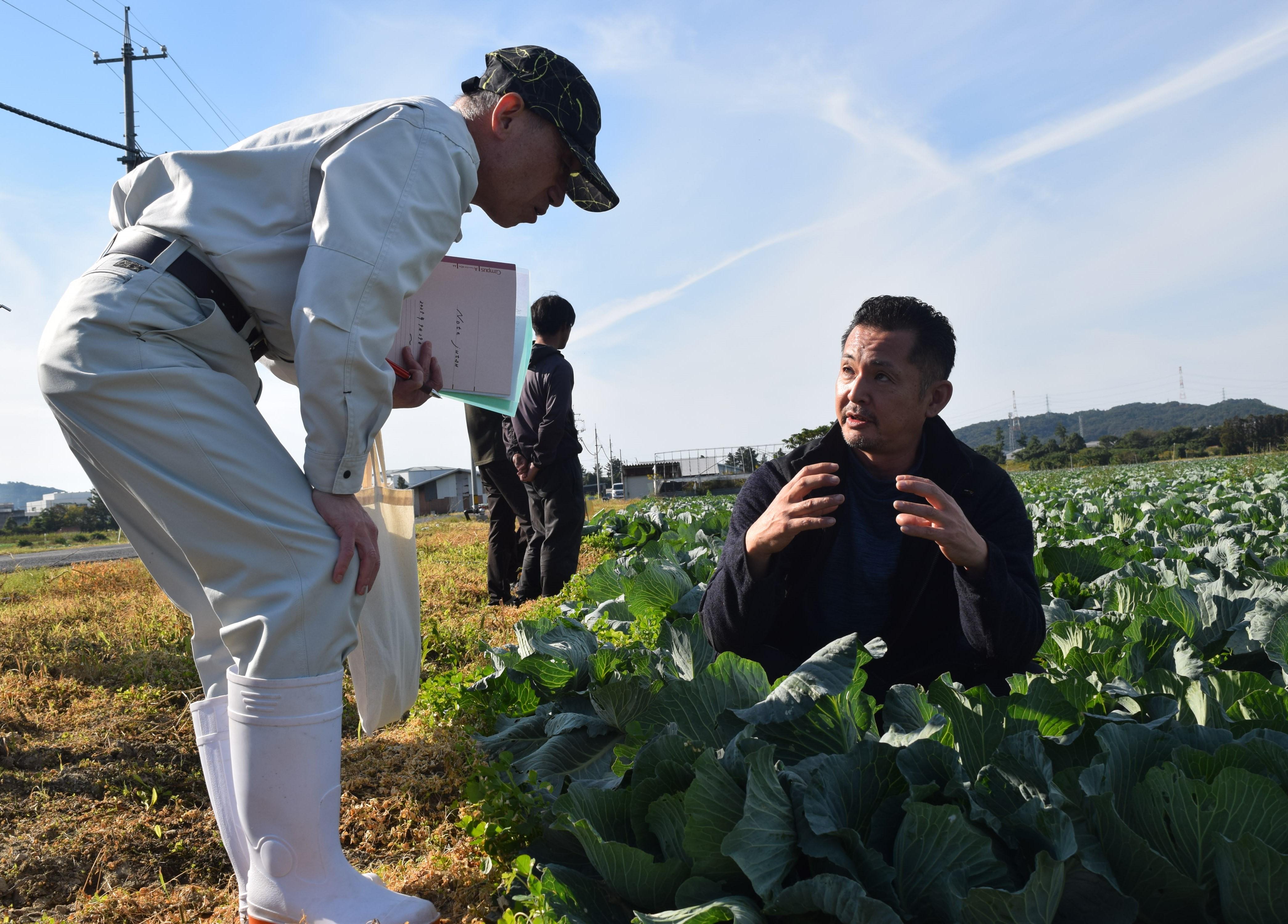 キャベツ栽培について説明する矢野会長(右)と竹下組合長(左).JPG
