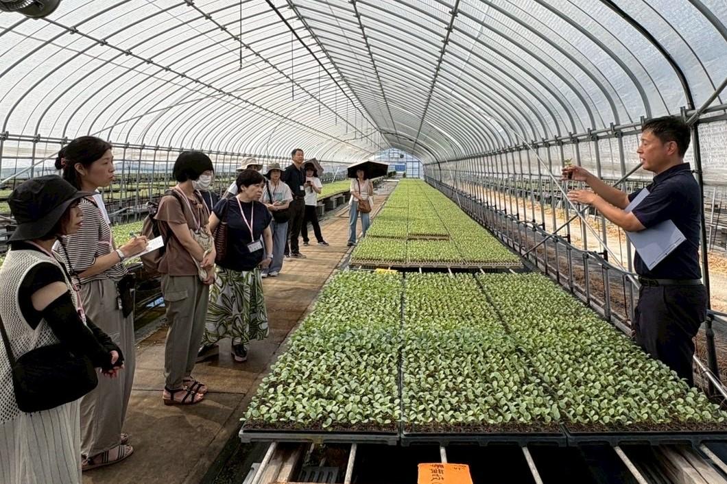 キャベツ苗の見学(育苗センター).jpeg