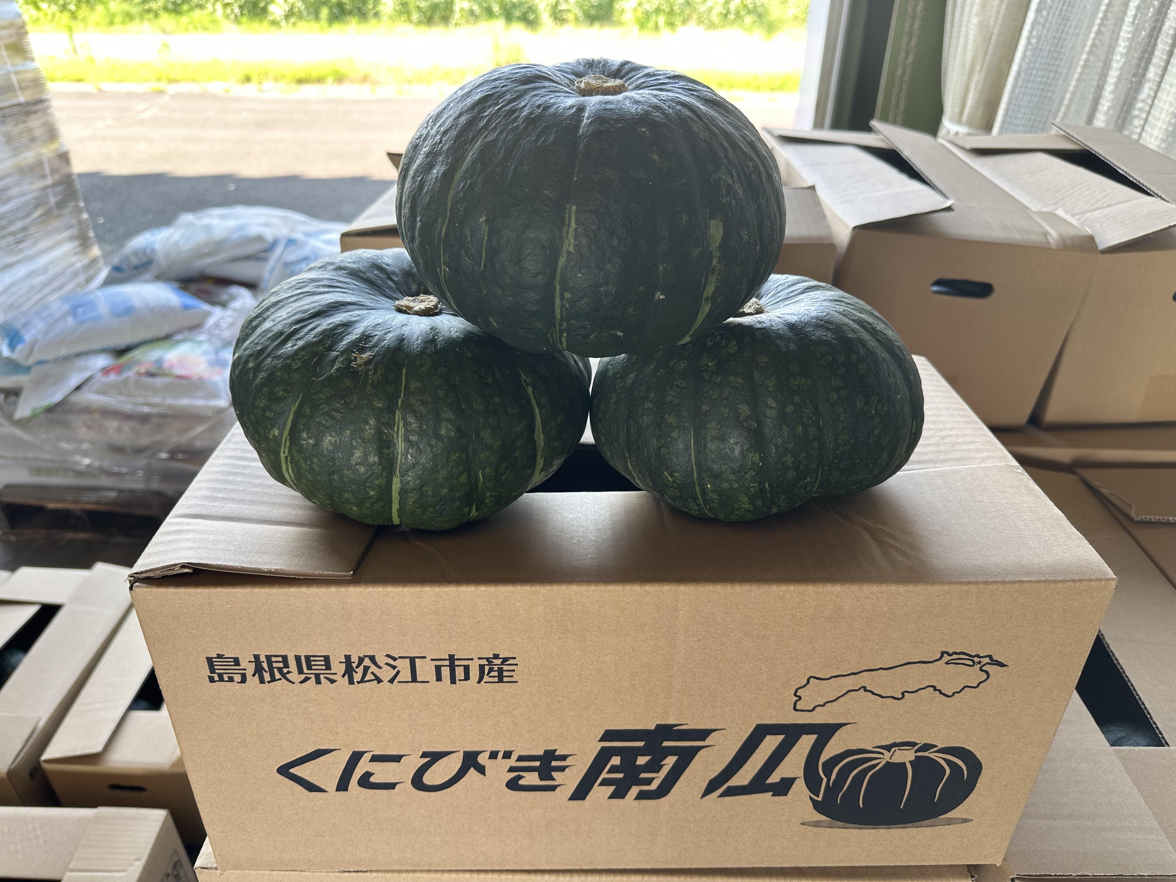 キャプションなし(くにびき南瓜).JPG