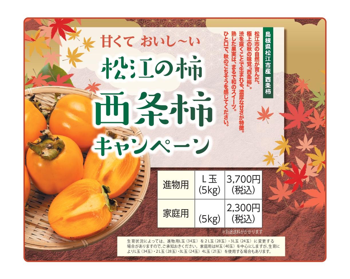 西条柿CP画像.jpg