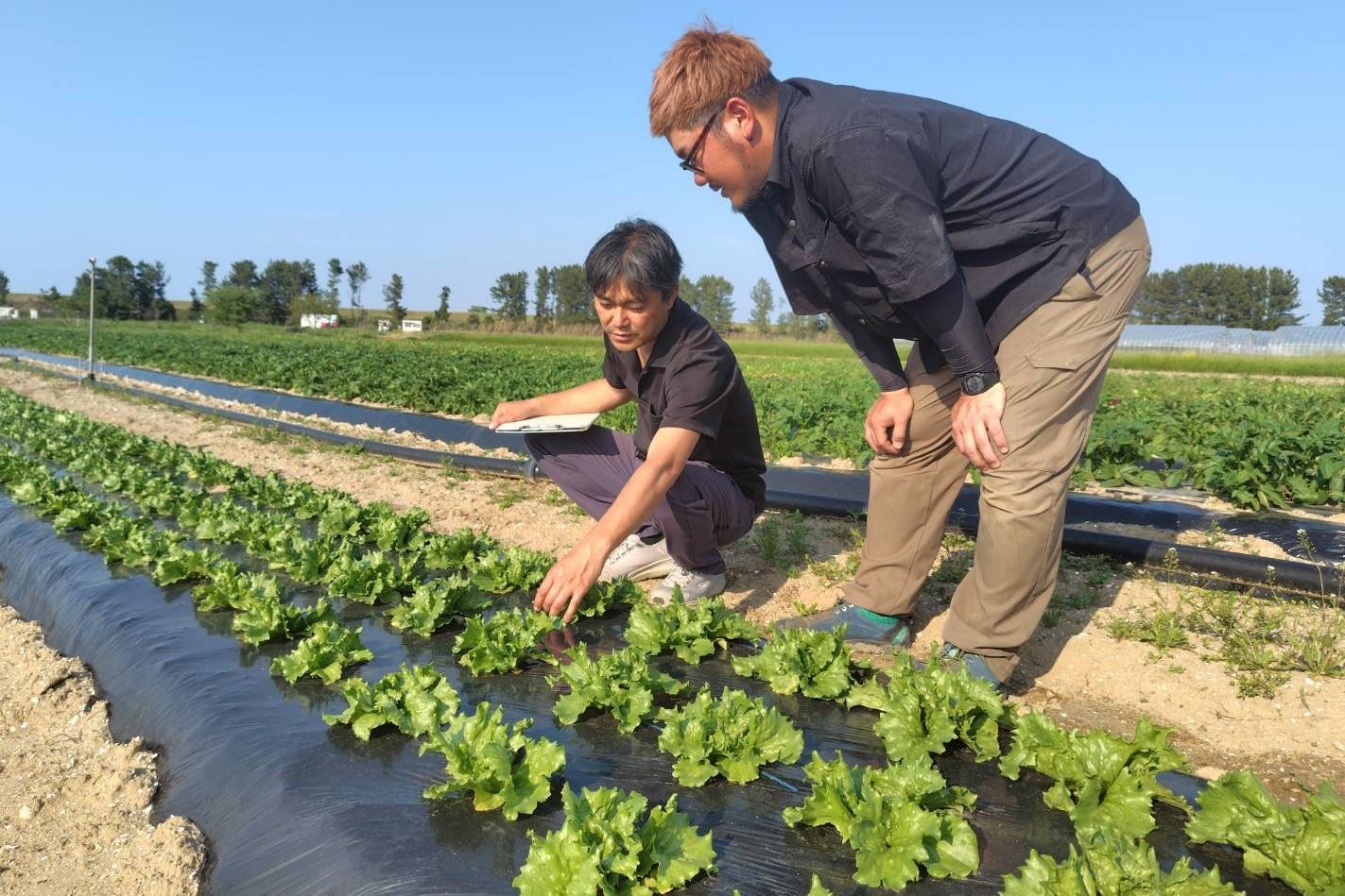 生育状況を確認する犬山係長と野津さん(右).jpeg