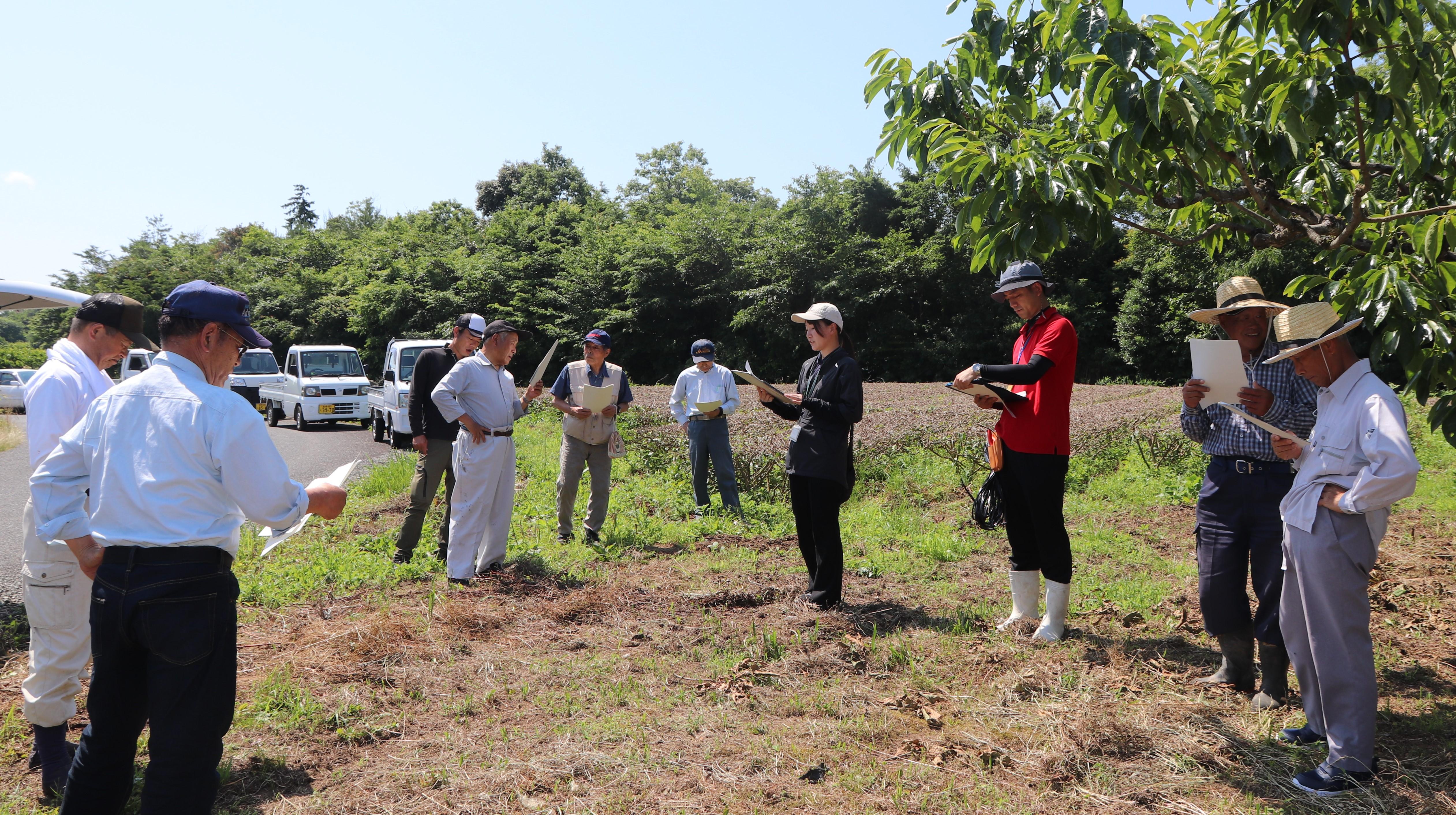 生育状況や新梢管理について説明する伊東普及員(中央)と生産者(大庭地区).jpg