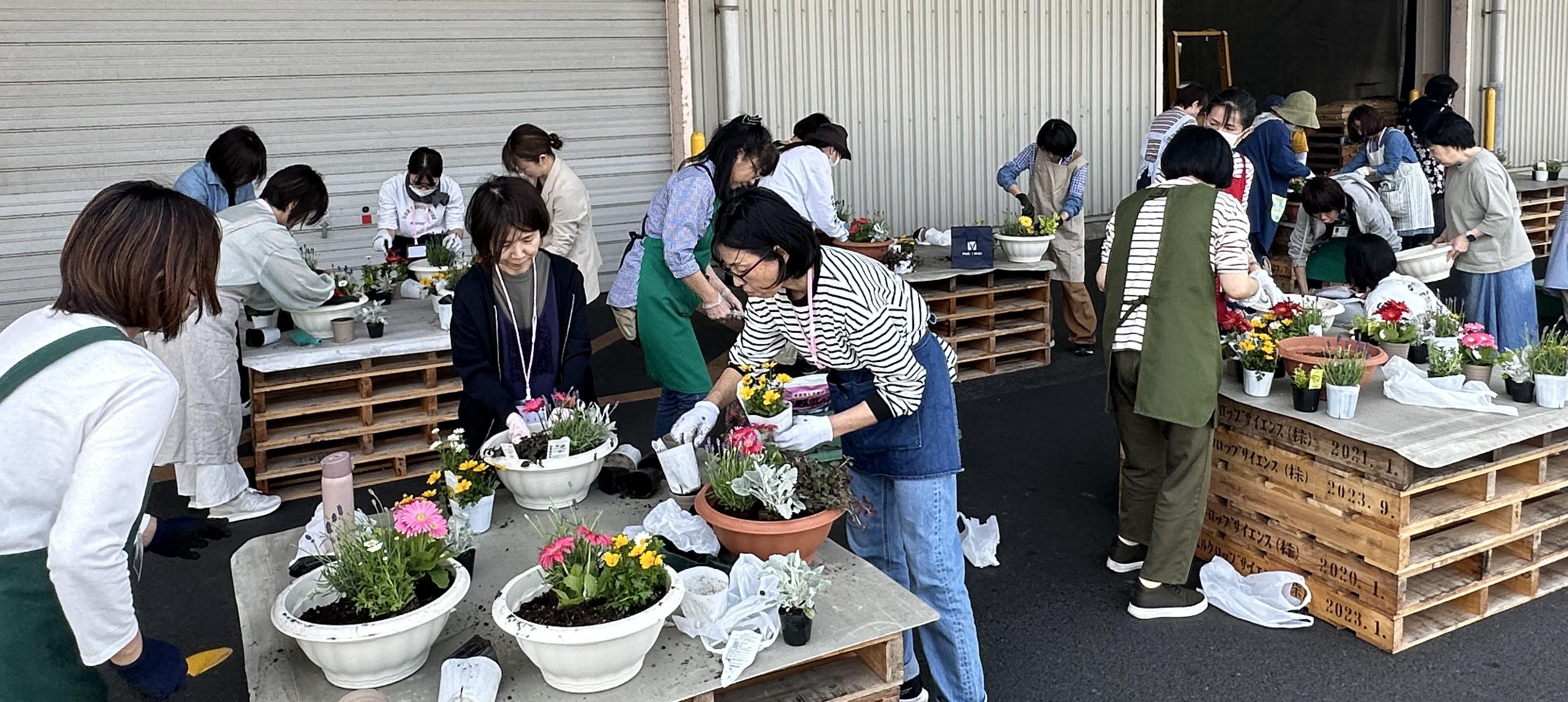 寄せ植え作業の様子.jpeg