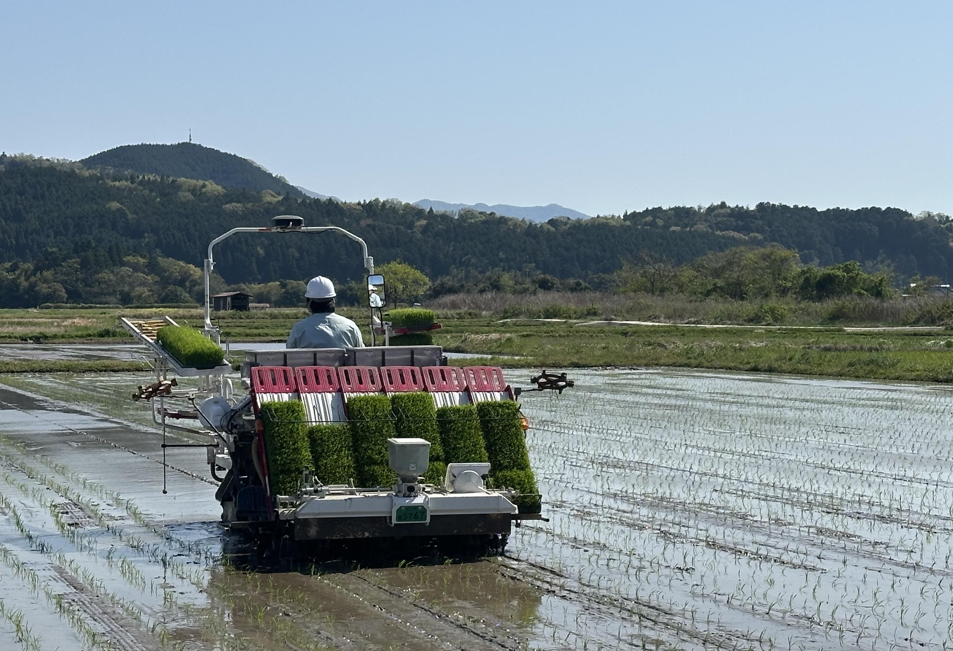 令和７年産米の田植えがスタート.jpeg