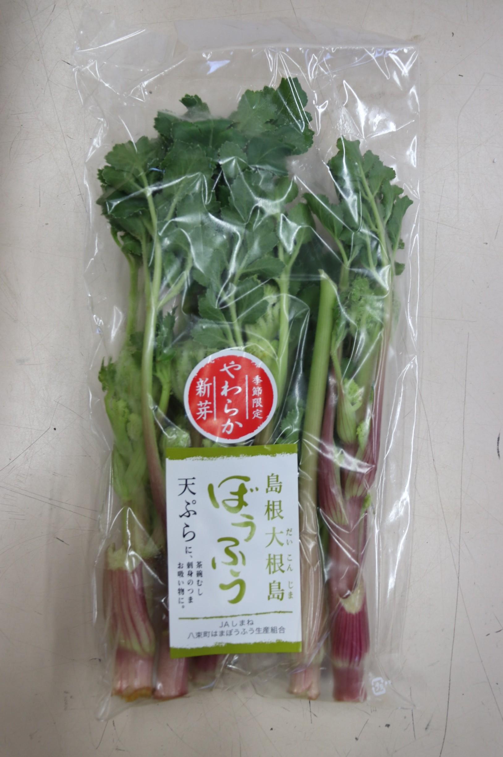 はまぼうふうの華芽.JPG