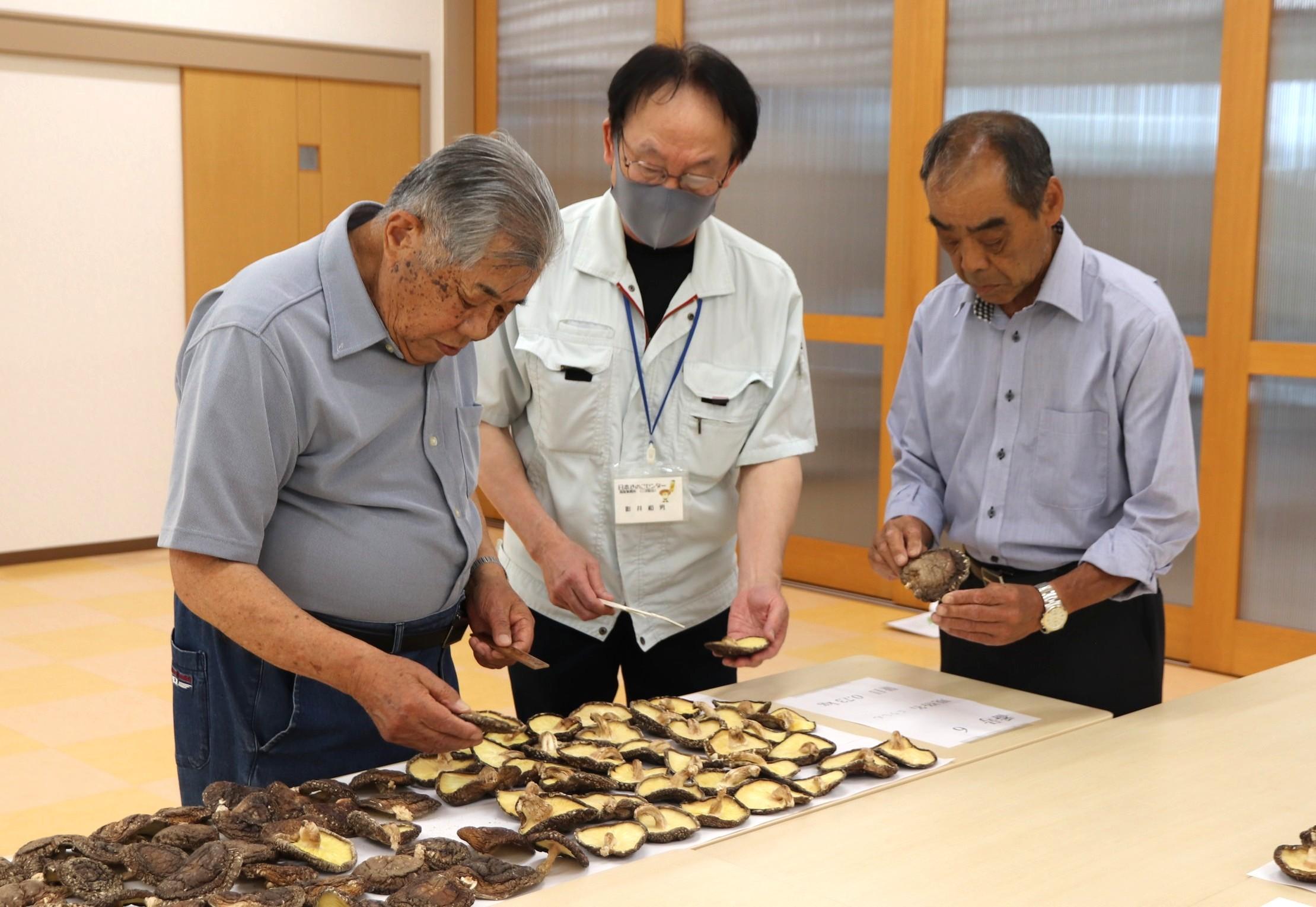 審査の様子(IMG_4165).JPG