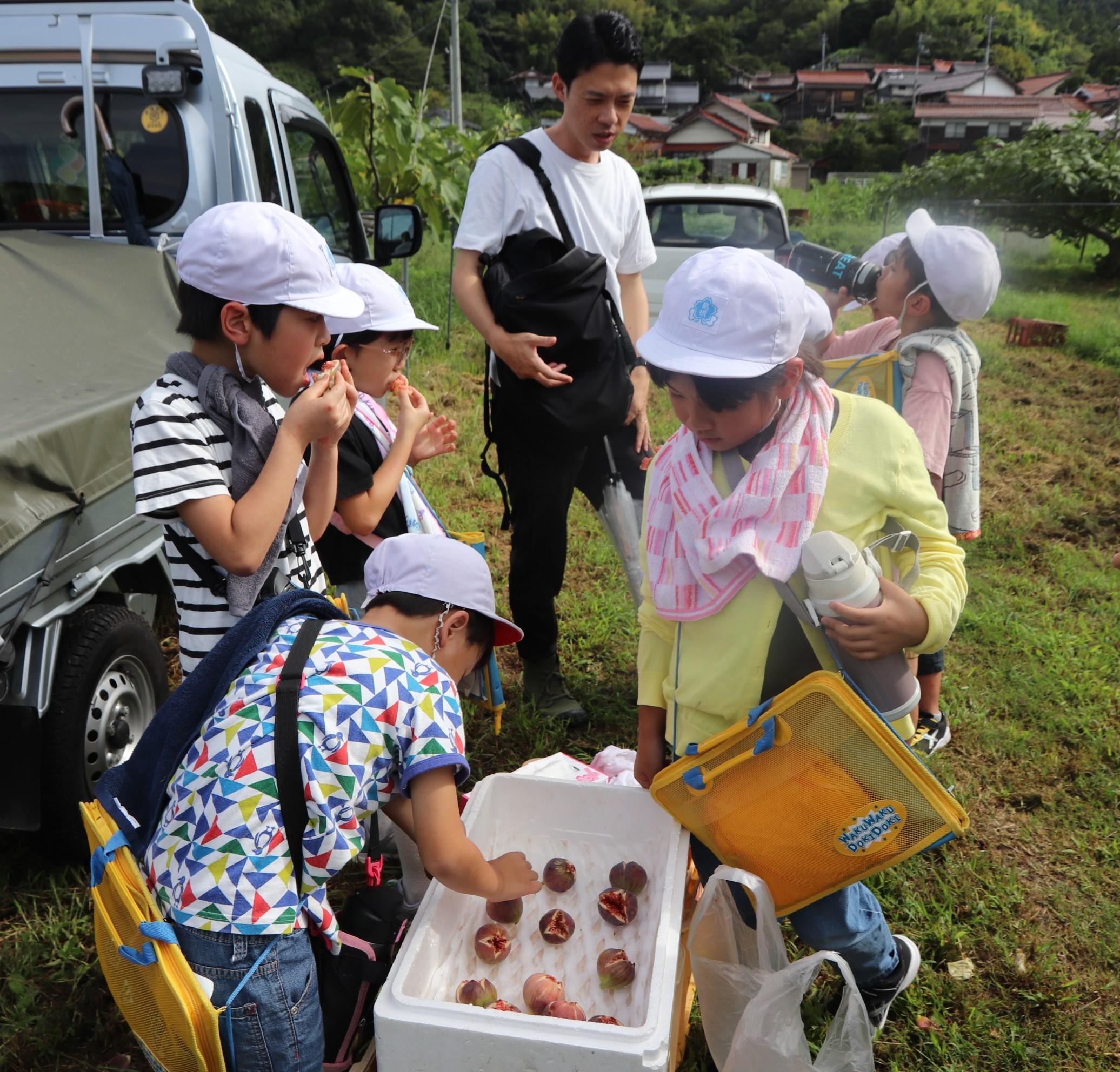 イチジクを試食する児童.JPG