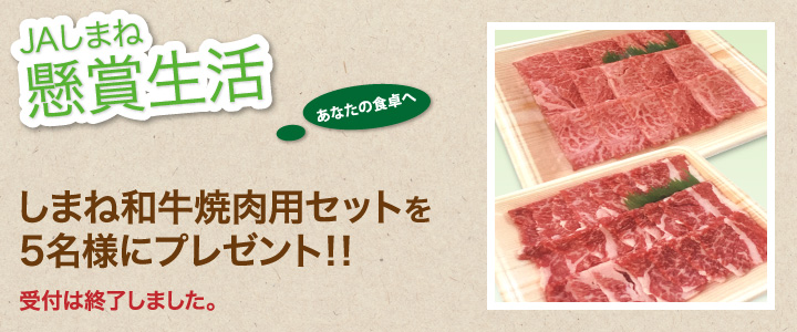 懸賞生活 2月のプレゼント 受付は終了しました