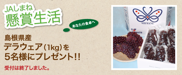 懸賞生活 4月のプレゼント 受け付けは終了しました