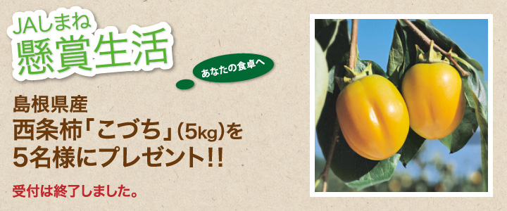 受付終了 懸賞生活 10月のプレゼント