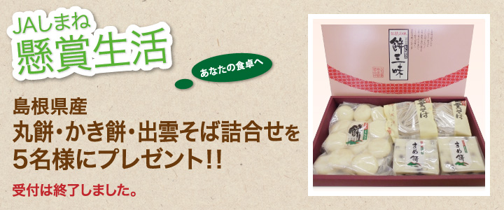 懸賞生活 11月のプレゼントは終了しました