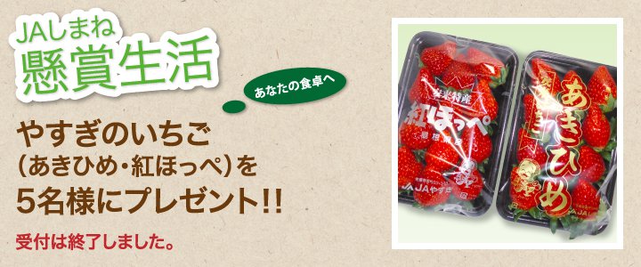 懸賞生活 12月のプレゼント 受付終了