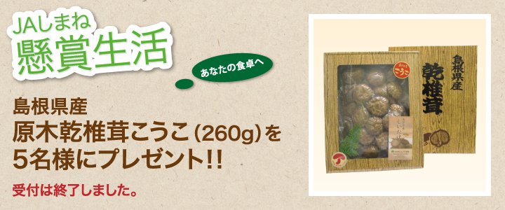 懸賞生活 1月のプレゼント 受付終了