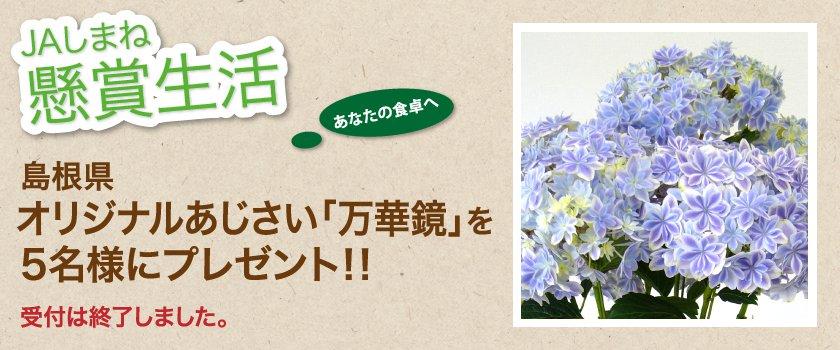 懸賞生活 4月のプレゼント 受付終了