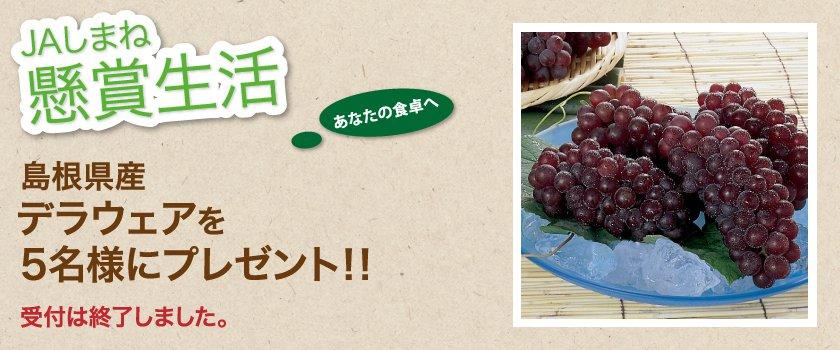 受付終了 懸賞生活 5月のプレゼント