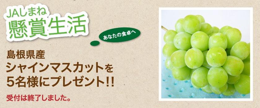 【受付終了】懸賞生活 7月のプレゼント