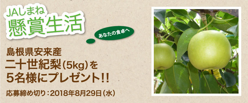 懸賞生活 8月のプレゼント