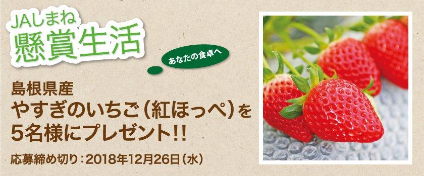 懸賞生活 12月のプレゼント