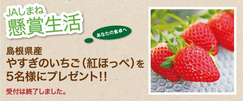 受付終了 懸賞生活 12月のプレゼント