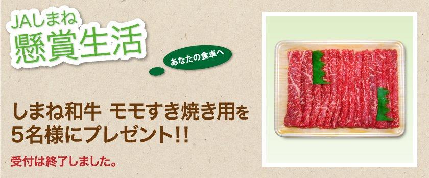受付終了 懸賞生活 2月のプレゼント