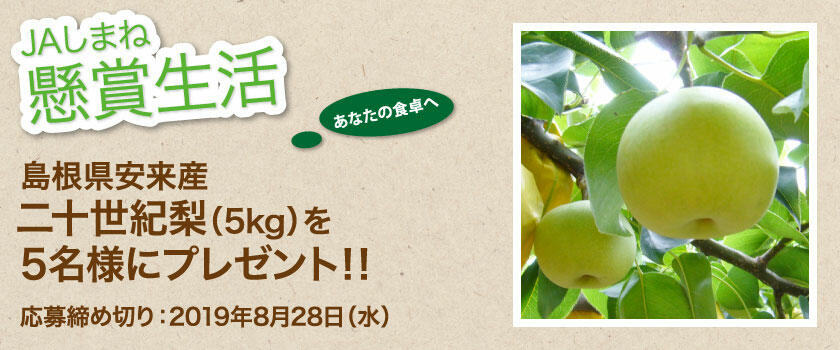 懸賞生活 8月のプレゼント