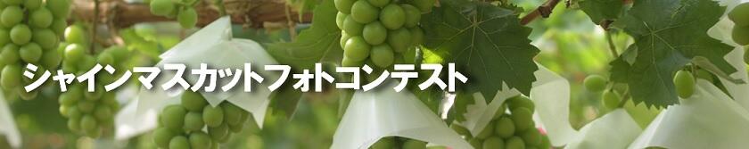 2019シャインマスカットフォトコンテスト告知トップ画像