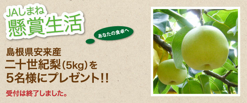 懸賞生活 8月のプレゼント 終了
