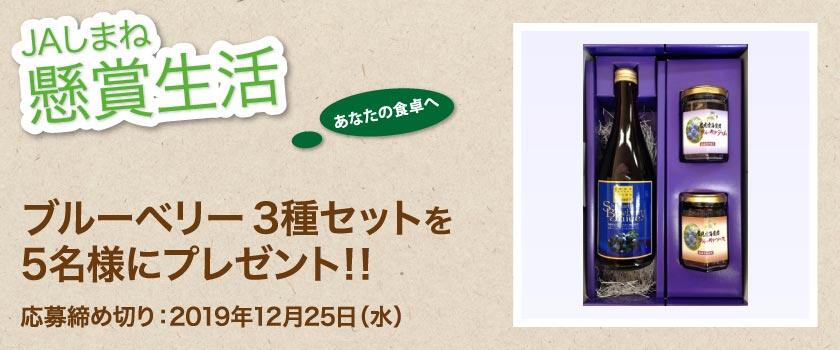 懸賞生活 12月のプレゼント