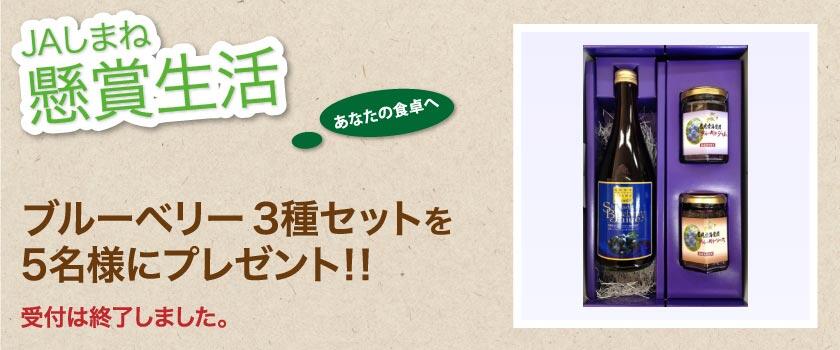 受付終了 懸賞生活 12月のプレゼント