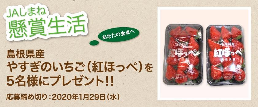 懸賞生活 1月のプレゼント