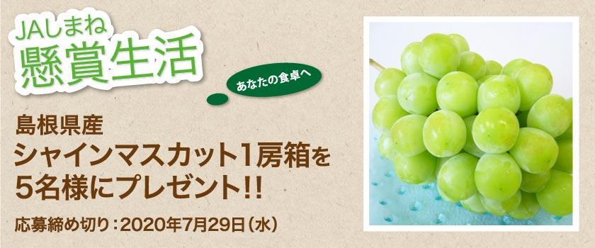 懸賞生活 7月のプレゼント