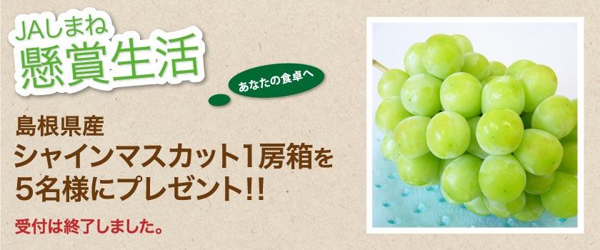 【受付終了】懸賞生活 7月のプレゼント