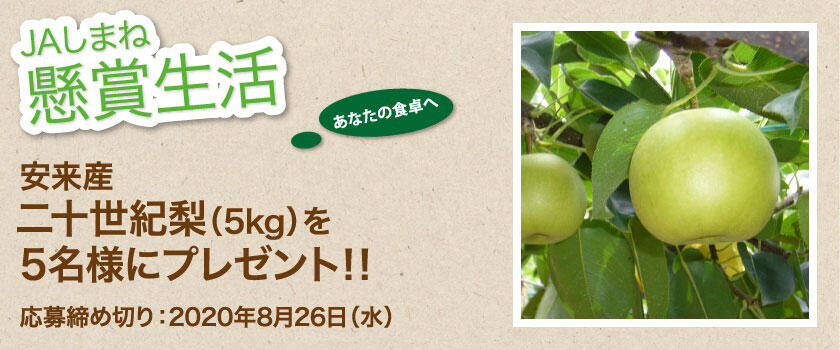 懸賞生活 8月のプレゼント