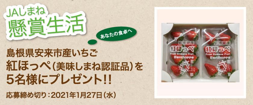 懸賞生活 1月のプレゼント