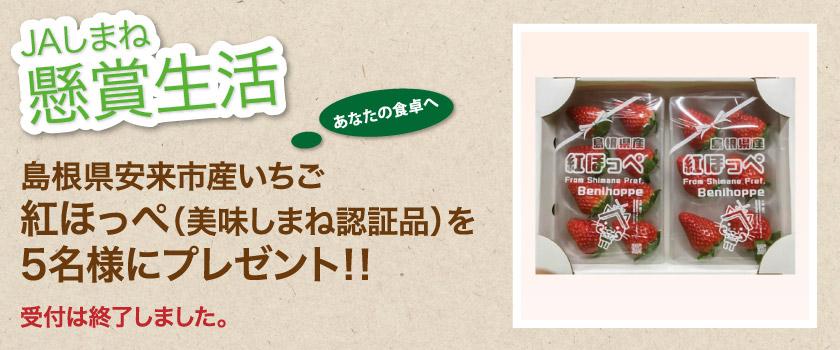 受付終了 懸賞生活 1月のプレゼント