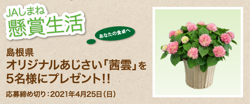 懸賞生活 4月のプレゼント