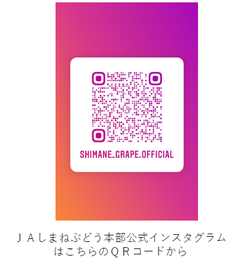 qr.png